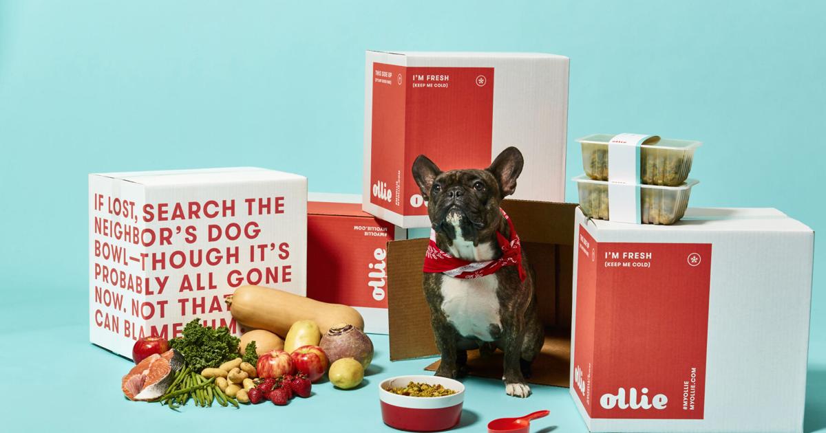 Cibo per gatti negozio -Cibo per gatti negozio 27