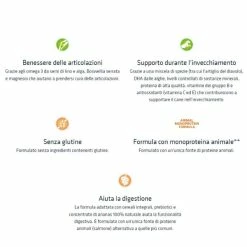 Natural Trainer Sensitive No Gluten Medium&Maxi Mature Con Salmone - 12 Kg -Cibo per gatti negozio grafiche magento bauzaar 2023 01 26t145425.885