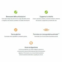 Natural Trainer Sensitive No Gluten Medium & Maxi Adult Con Salmone - 3 Kg -Cibo per gatti negozio grafiche magento bauzaar 2023 01 26t164356.819