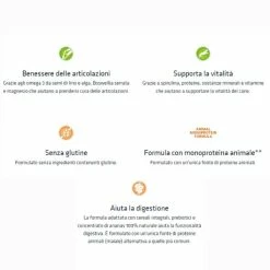 Natural Trainer Sensitive No Gluten Medium/Maxi Con Maiale - 12 Kg -Cibo per gatti negozio grafiche magento bauzaar 2023 01 27t101634.081