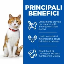 Hill's Science Plan Adult Sterilised Cat Alimento Per Gatti Con Tonno - 1,5 Kg 12 Hill's Science Plan Adult Sterilised Cat Alimento Per Gatti Con Tonno - 1,5 Kg -Cibo per gatti negozio grafiche magento bauzaar 2023 02 14t162447.928