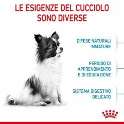 Royal Canin Extra-Small Puppy - 1,5 Kg 12 Royal Canin Extra-Small Puppy - 1,5 Kg -Cibo per gatti negozio grafiche magento bauzaar 2023 02 17t162835.843