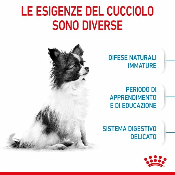 Royal Canin Extra-Small Puppy - 1,5 Kg 6 Royal Canin Extra-Small Puppy - 1,5 Kg - immagine 4