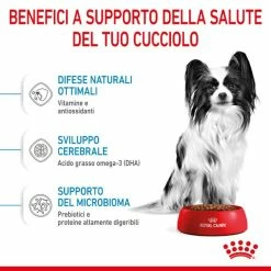 Royal Canin Extra-Small Puppy - 1,5 Kg 11 Royal Canin Extra-Small Puppy - 1,5 Kg -Cibo per gatti negozio grafiche magento bauzaar 2023 02 17t162841.930