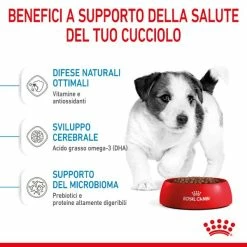 Royal Canin Mini Puppy Dog Food - 2 Kg -Cibo per gatti negozio grafiche magento bauzaar 2023 02 17t163140.442