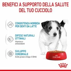Royal Canin Puppy Umido - Medium 140 Gr -Cibo per gatti negozio grafiche magento bauzaar 2023 02 17t163554.851