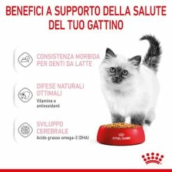 Royal Canin Kitten Gravy Cat Wet Food - 85 Gr -Cibo per gatti negozio grafiche magento bauzaar 2023 02 17t163921.033 1