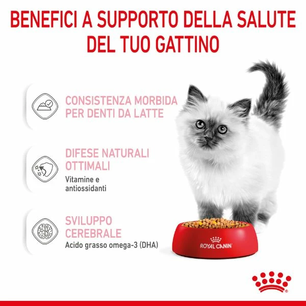 Royal Canin Kitten Sterilised 85 Gr - In Salsa 5 Royal Canin Kitten Sterilised 85 Gr - In Salsa - immagine 3