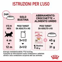 Royal Canin Kitten Patè - 85 Gr -Cibo per gatti negozio grafiche magento bauzaar 2023 02 17t163928.698