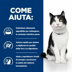 Hill's Prescription Diet I/d Teneri Bocconcini In Salsa 85 Gr - Salmone -Cibo per gatti negozio grafiche magento bauzaar 2023 02 24t152004.178