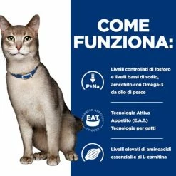 Hill's Prescription Diet K/d Feline 85 Gr - Manzo 9 Hill's Prescription Diet K/d Feline 85 Gr - Manzo -Cibo per gatti negozio grafiche magento bauzaar 2023 02 24t154515.160