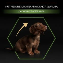 Purina Pro Plan Healthy Start Small E Mini Puppy Crocchette Cane Pollo - 3 Kg 16 Purina Pro Plan Healthy Start Small E Mini Puppy Crocchette Cane Pollo - 3 Kg -Cibo per gatti negozio grafiche magento bauzaar 2023 03 13t095728.291