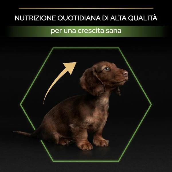 Purina Pro Plan Healthy Start Small E Mini Puppy Crocchette Cane Pollo - 3 Kg 9 Purina Pro Plan Healthy Start Small E Mini Puppy Crocchette Cane Pollo - 3 Kg - immagine 7