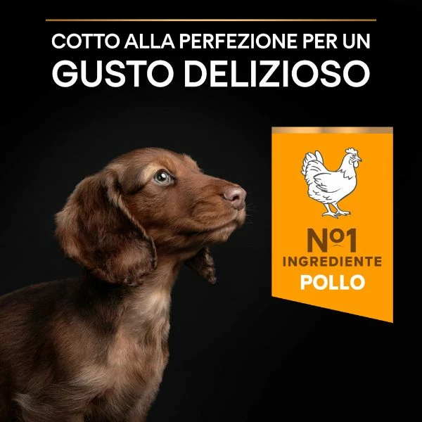 Purina Pro Plan Healthy Start Small E Mini Puppy Crocchette Cane Pollo - 3 Kg 10 Purina Pro Plan Healthy Start Small E Mini Puppy Crocchette Cane Pollo - 3 Kg - immagine 8
