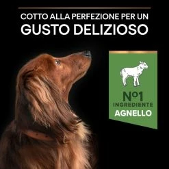 Purina Pro Plan Sensitive Digestion Small E Mini Adult Crocchette Cane Agnello - 3 Kg 17 Purina Pro Plan Sensitive Digestion Small E Mini Adult Crocchette Cane Agnello - 3 Kg -Cibo per gatti negozio grafiche magento bauzaar 2023 03 13t105148.534