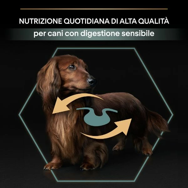 Purina Pro Plan Sensitive Digestion Small E Mini Adult Crocchette Cane Agnello - 3 Kg 9 Purina Pro Plan Sensitive Digestion Small E Mini Adult Crocchette Cane Agnello - 3 Kg - immagine 7