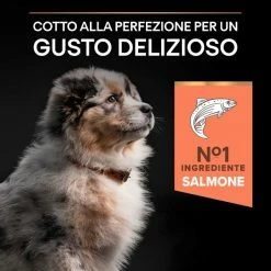Purina Pro Plan Sensitive Skin Medium Puppy Crocchette Cane Salmone - 3 Kg 17 Purina Pro Plan Sensitive Skin Medium Puppy Crocchette Cane Salmone - 3 Kg -Cibo per gatti negozio grafiche magento bauzaar 2023 03 13t113233.762