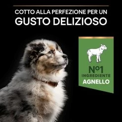 Purina Pro Plan Sensitive Digestion Medium Puppy Crocchette Cane Agnello - 3 Kg -Cibo per gatti negozio grafiche magento bauzaar 2023 03 13t114211.332
