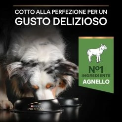 Purina Pro Plan Sensitive Digestion Medium Adult Crocchette Cane Agnello - 3 Kg 17 Purina Pro Plan Sensitive Digestion Medium Adult Crocchette Cane Agnello - 3 Kg -Cibo per gatti negozio grafiche magento bauzaar 2023 03 13t121242.884