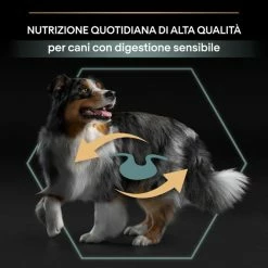 Purina Pro Plan Sensitive Digestion Medium Adult Crocchette Cane Agnello - 3 Kg 16 Purina Pro Plan Sensitive Digestion Medium Adult Crocchette Cane Agnello - 3 Kg -Cibo per gatti negozio grafiche magento bauzaar 2023 03 13t121250.785