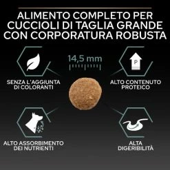 Purina Pro Plan Sensitive Digestion Large Robust Adult Crocchette Cane Agnello - 14 Kg 12 Purina Pro Plan Sensitive Digestion Large Robust Adult Crocchette Cane Agnello - 14 Kg -Cibo per gatti negozio grafiche magento bauzaar 2023 03 13t130418.590