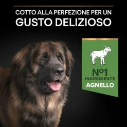 Purina Pro Plan Sensitive Digestion Large Robust Adult Crocchette Cane Agnello - 14 Kg 17 Purina Pro Plan Sensitive Digestion Large Robust Adult Crocchette Cane Agnello - 14 Kg -Cibo per gatti negozio grafiche magento bauzaar 2023 03 13t130433.724