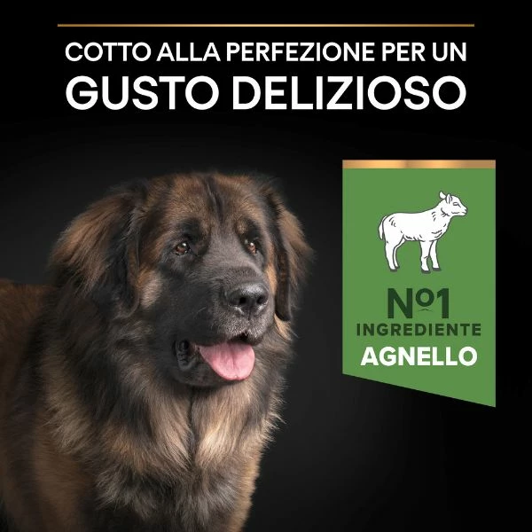 Purina Pro Plan Sensitive Digestion Large Robust Adult Crocchette Cane Agnello - 14 Kg 10 Purina Pro Plan Sensitive Digestion Large Robust Adult Crocchette Cane Agnello - 14 Kg - immagine 8