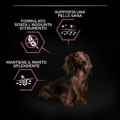 Purina Pro Plan Sensitive Skin Small & Mini Adult Crocchette Cane Salmone - 3 Kg -Cibo per gatti negozio grafiche magento bauzaar 2023 03 13t153929.971