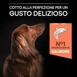 Purina Pro Plan Sensitive Skin Small & Mini Adult Crocchette Cane Salmone - 3 Kg -Cibo per gatti negozio grafiche magento bauzaar 2023 03 13t153952.671