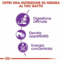 Royal Canin Sensible 33 Cat Food - 2 Kg 12 Royal Canin Sensible 33 Cat Food - 2 Kg -Cibo per gatti negozio grafiche magento bauzaar 2023 03 14t152006.348
