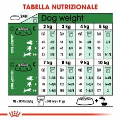 Royal Canin Mini Adult 8+ - 2 Kg 16 Royal Canin Mini Adult 8+ - 2 Kg -Cibo per gatti negozio grafiche magento bauzaar 2023 03 14t160740.317