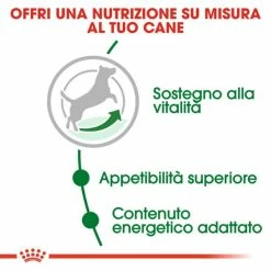 Royal Canin Mini Adult 8+ - 2 Kg 15 Royal Canin Mini Adult 8+ - 2 Kg -Cibo per gatti negozio grafiche magento bauzaar 2023 03 14t160745.463