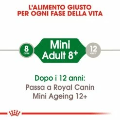 Royal Canin Mini Adult 8+ - 2 Kg 14 Royal Canin Mini Adult 8+ - 2 Kg -Cibo per gatti negozio grafiche magento bauzaar 2023 03 14t160751.322