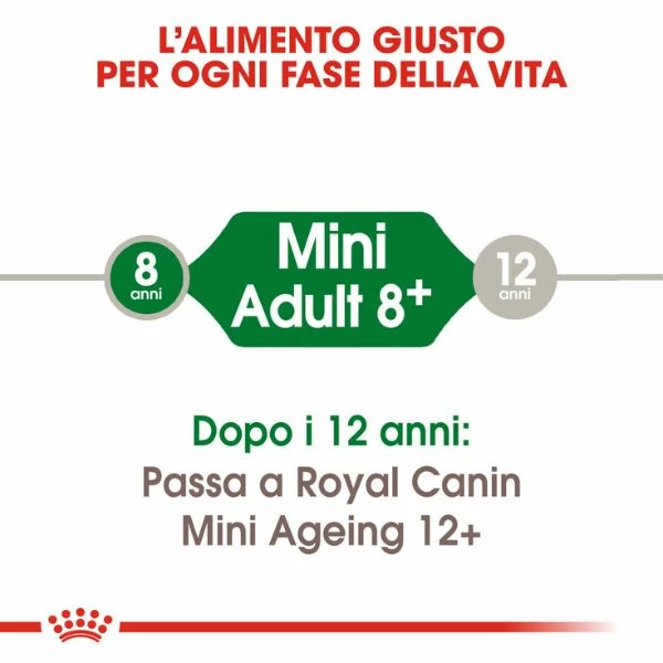 Royal Canin Mini Adult 8+ - 2 Kg 7 Royal Canin Mini Adult 8+ - 2 Kg - immagine 5