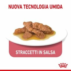 Royal Canin Indoor Sterilised 85 Gr - In Salsa -Cibo per gatti negozio grafiche magento bauzaar 2023 03 14t165208.862