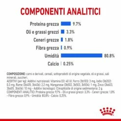 Royal Canin Indoor Sterilised 85 Gr - In Salsa -Cibo per gatti negozio grafiche magento bauzaar 2023 03 14t165220.032