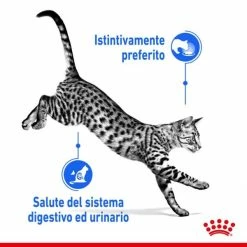 Royal Canin Indoor Sterilised 85 Gr - In Salsa -Cibo per gatti negozio grafiche magento bauzaar 2023 03 14t165236.609