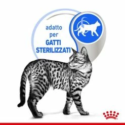 Royal Canin Indoor Sterilised 85 Gr - In Salsa -Cibo per gatti negozio grafiche magento bauzaar 2023 03 14t165248.140