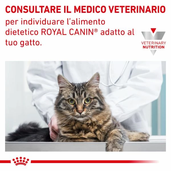 Royal Canin Gatto Sensitivity Control Multipack 12 X 85 Gr - Pollo 5 Royal Canin Gatto Sensitivity Control Multipack 12 X 85 Gr - Pollo - immagine 3