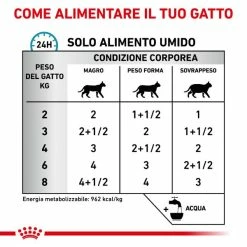 Royal Canin Gatto Sensitivity Control Multipack 12 X 85 Gr - Pollo 11 Royal Canin Gatto Sensitivity Control Multipack 12 X 85 Gr - Pollo -Cibo per gatti negozio grafiche magento bauzaar 2023 03 27t121101.177