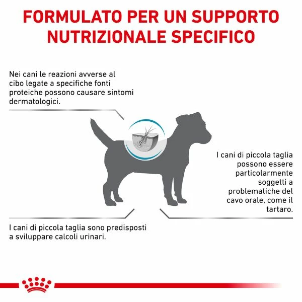 Royal Canin Hypoallergenic Small Dog - 1 Kg 8 Royal Canin Hypoallergenic Small Dog - 1 Kg - immagine 6