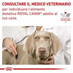 Royal Canin Hypoallergenic Small Dog - 1 Kg 14 Royal Canin Hypoallergenic Small Dog - 1 Kg -Cibo per gatti negozio grafiche magento bauzaar 2023 03 27t121808.386