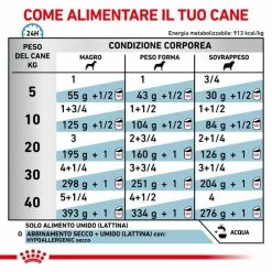 Royal Canin Hypoallergenic Umido Cane - 200 Gr -Cibo per gatti negozio grafiche magento bauzaar 2023 03 27t122346.519