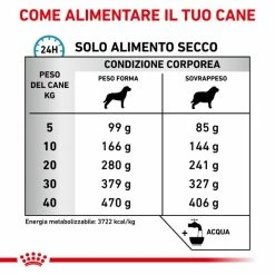 Royal Canin Hypoallergenic Moderate Calorie - 1,5 Kg -Cibo per gatti negozio grafiche magento bauzaar 2023 03 27t122705.252
