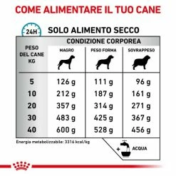 Royal Canin Sensitivity Control - 1,5 Kg -Cibo per gatti negozio grafiche magento bauzaar 2023 03 27t123034.963