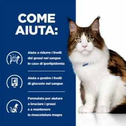 Hill's Prescription Diet Cat Adult W/D Multi-Benefit 85 Gr - Pollo -Cibo per gatti negozio grafiche magento bauzaar 2023 04 18t120619.266
