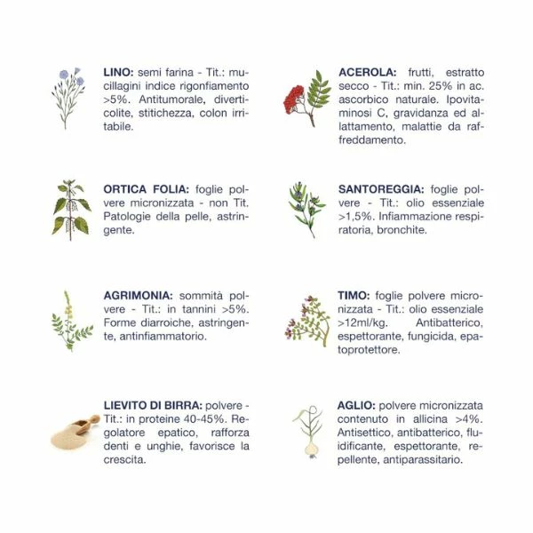 Vet Line Formula Primi Mesi Kitten 85 Gr - Faraona E Tacchino 7 Vet Line Formula Primi Mesi Kitten 85 Gr - Faraona E Tacchino - immagine 5