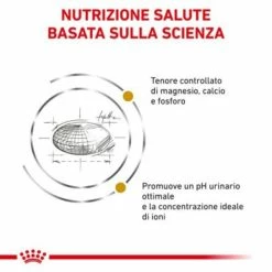 Royal Canin Urinary S/O - 400 Gr -Cibo per gatti negozio grafiche magento bauzaar 2023 05 02t103343.922