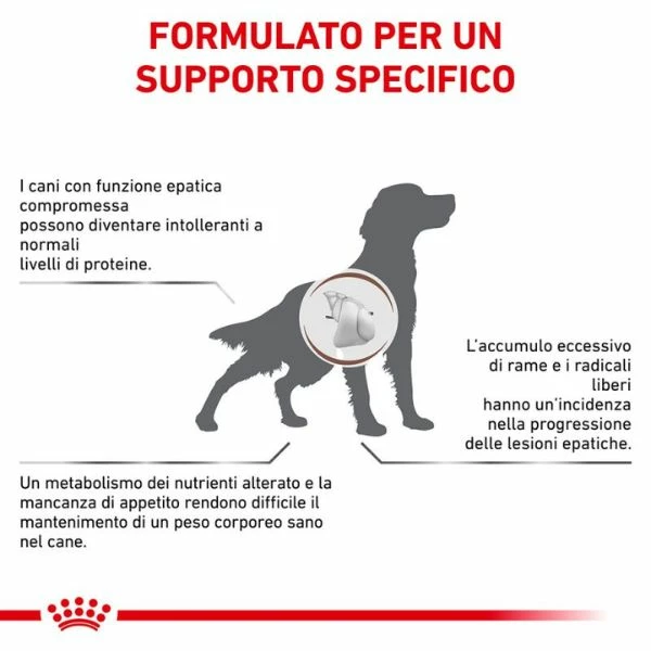 Royal Canin Hepatic - 1,5 Kg 5 Royal Canin Hepatic - 1,5 Kg - immagine 3