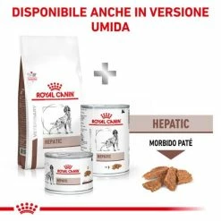 Royal Canin Hepatic - 1,5 Kg 14 Royal Canin Hepatic - 1,5 Kg -Cibo per gatti negozio grafiche magento bauzaar 2023 05 03t095515.840